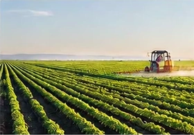 Exploitation agricole