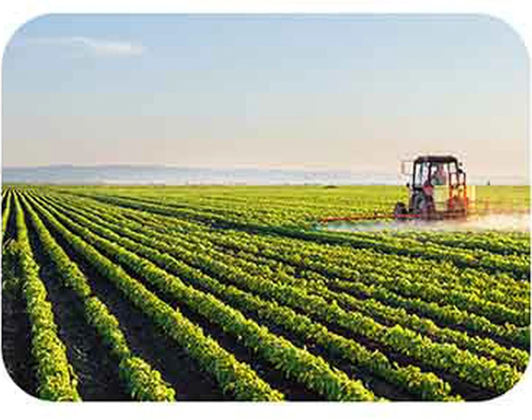 Système solaire dans une exploitation agricole